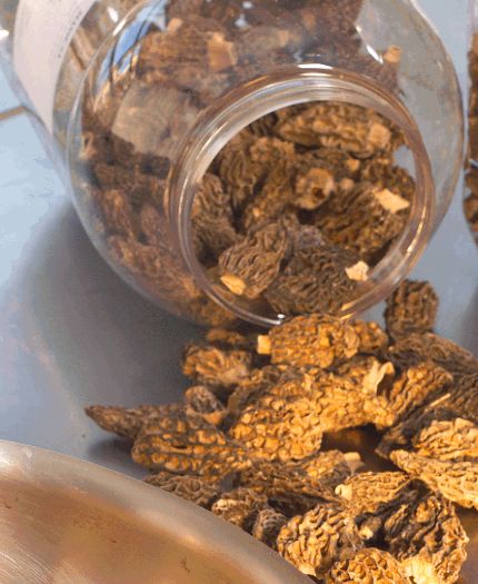 MORILLE SPECIALE SECHEE  100G