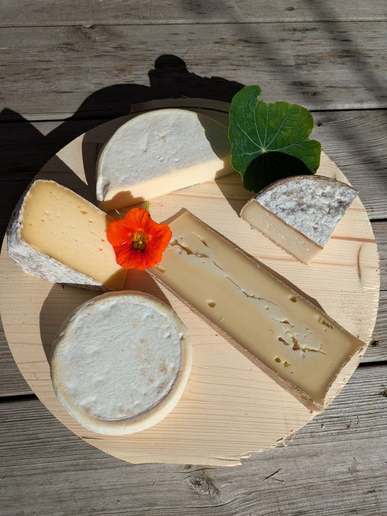 Plateau Savoyard 10-12 personnes